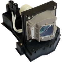 ACER EC.J5400.001 Lamppu moduulilla