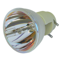 OPTOMA BL-FP190E (SP.8VH01GC01) Lamppu ilman moduulia