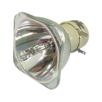OPTOMA BL-FU260B (SP.72701GC01) Lamppu ilman moduulia