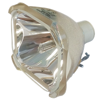 PROXIMA Ultralight LSC Lamppu ilman moduulia